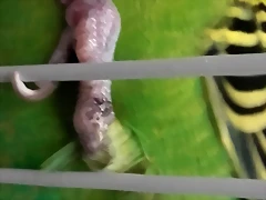 20180527_090840 20180527_090840