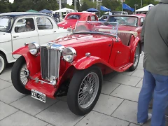 SDC15441 SDC15441