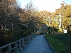 DSCN6649 DSCN6649