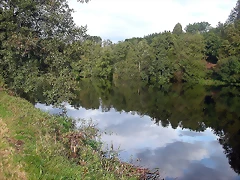 DSCN5272 DSCN5272