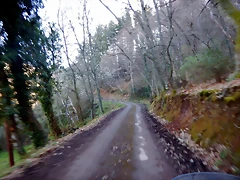 DSCN8953 DSCN8953