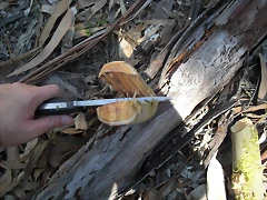 CIMG1606 CIMG1606