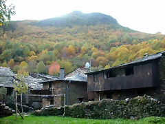 DSCN6082 DSCN6082