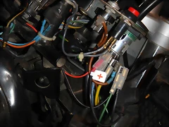 DSCN0490 DSCN0490