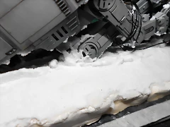 DSCN5605 DSCN5605