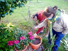 DSCN6290 DSCN6290