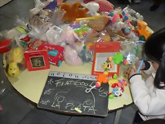 SDC13151 SDC13151