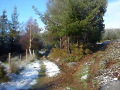DSCN7475 DSCN7475