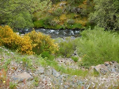 DSCN1164 DSCN1164