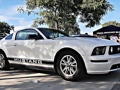 PA060903 PA060903