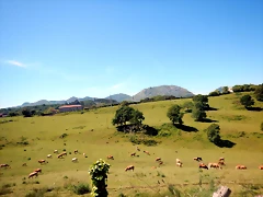 DSCN2981 DSCN2981