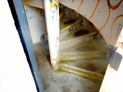 DSCN5444 DSCN5444