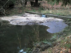 IMG_0555 IMG_0555