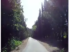 Carretera a muro embalse Buendía