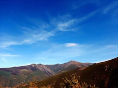 DSCN1430 DSCN1430