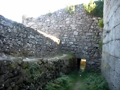 DSCN7849 DSCN7849