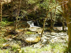 DSCN8988 DSCN8988