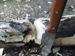 DSCF0976 DSCF0976