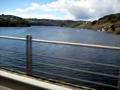 IMG_2409 IMG_2409