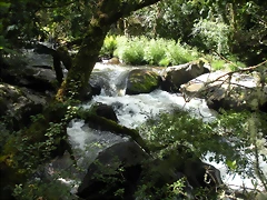 DSCN2776 DSCN2776
