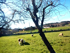 DSCN2535 DSCN2535