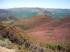 DSCF2556 DSCF2556