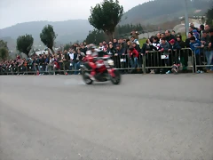 DSCN8246 DSCN8246