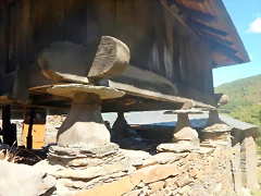 DSCN4578 DSCN4578
