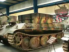 bergepanther1