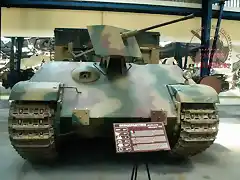 bergepanther3