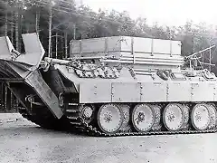 bergepanther4