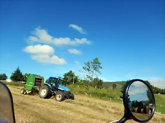 DSCN1625 DSCN1625