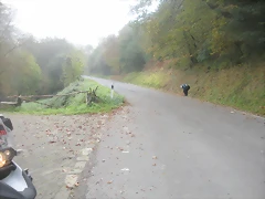 DSCN9968 DSCN9968