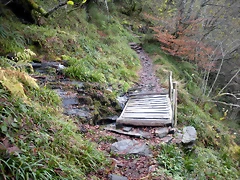 DSCN0656 DSCN0656