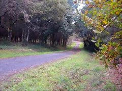 DSCN6434 DSCN6434