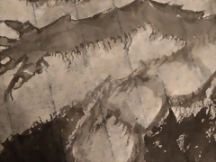 dragin chino, detalle 1