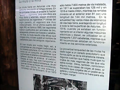 DSCN4084 DSCN4084