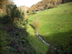 DSCN0449