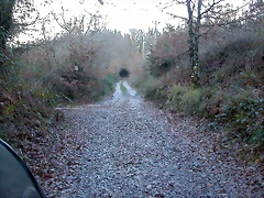 DSCN7195 DSCN7195