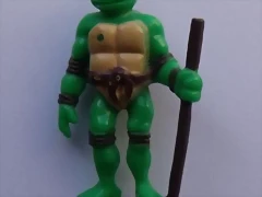 tortuga01