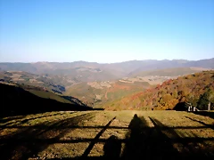 DSCN8574