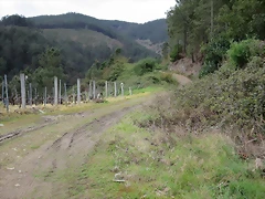 s comienzo pista s comienzo pista