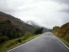 DSCN8484 DSCN8484