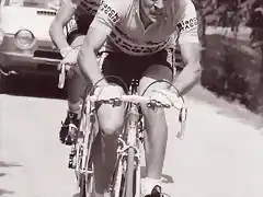 CONTINI,PRIM,giro1982