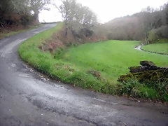 IMG_2386 IMG_2386