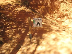 IMG_0205 IMG_0205