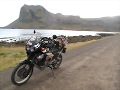 IMG_0981 IMG_0981