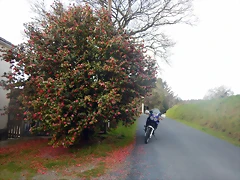 DSCN2474 DSCN2474