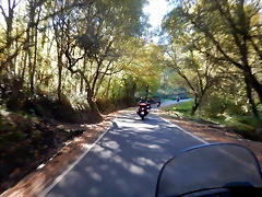 DSCN0960 DSCN0960