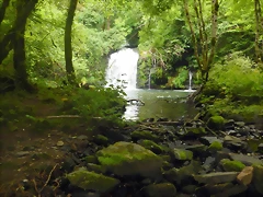 DSCN7488 DSCN7488